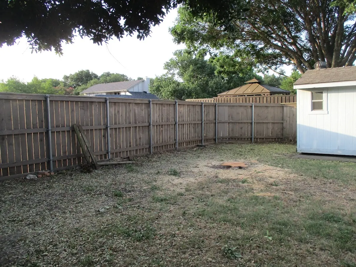 Cleared yard after professional tree removal in Lost Springs